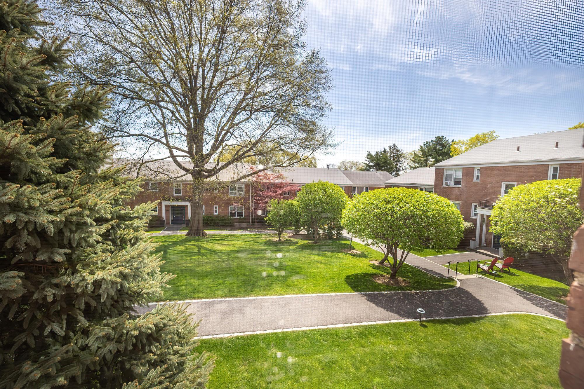 114 Lawn Terrace #1B, Mamaroneck, New York image 25