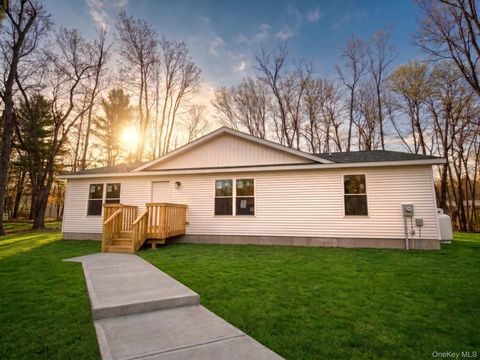 Photo of 165 Park Avenue, Monticello, NY 12701 (MLS # 985084)