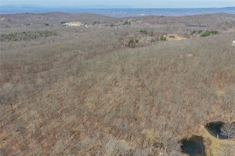 40 Meads Lane Stormville NY 12582