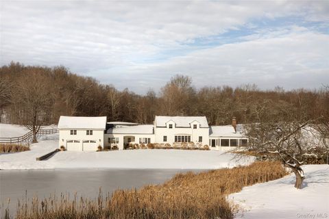 Photo of 745 Hollow Road, Staatsburg, NY 12580 (MLS # 942950)