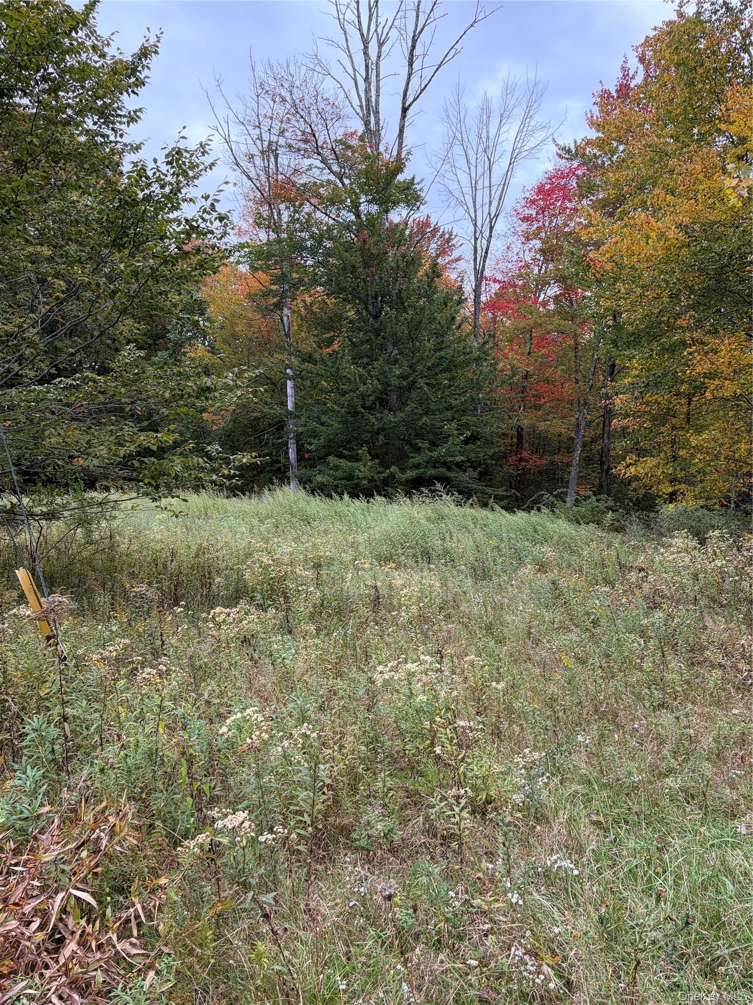 Budd Road