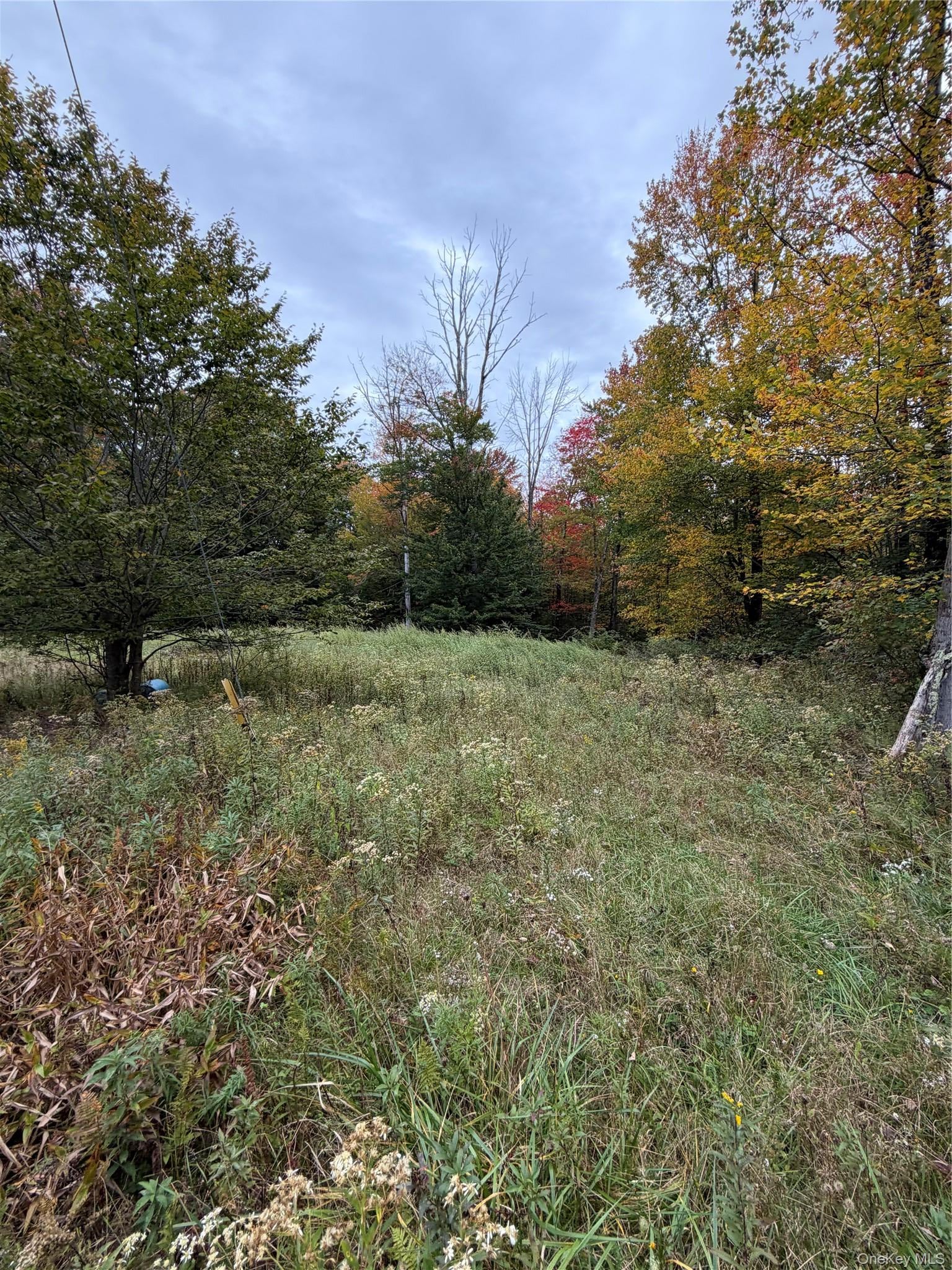 Budd Road