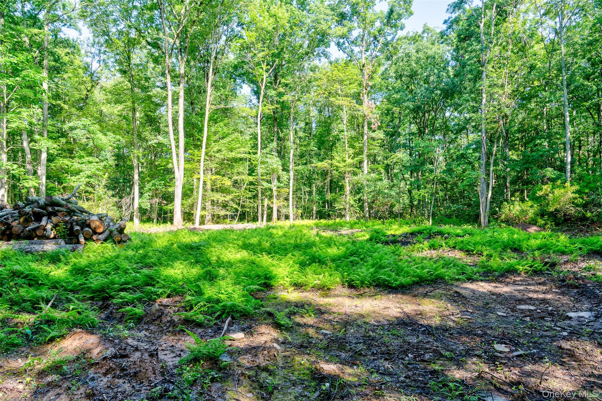 Lot 23 Perry Pond Road