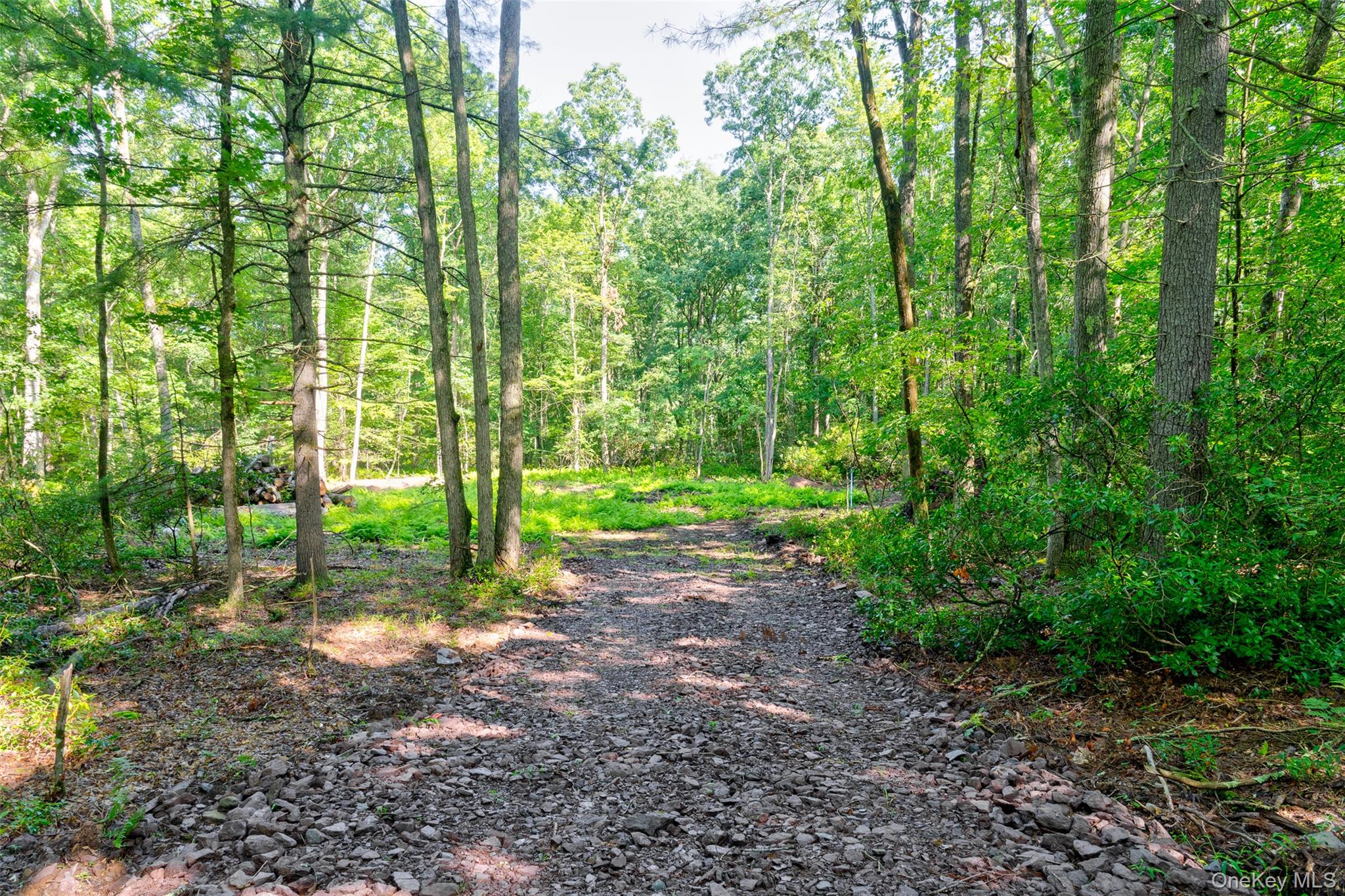 Lot 23 Perry Pond Road