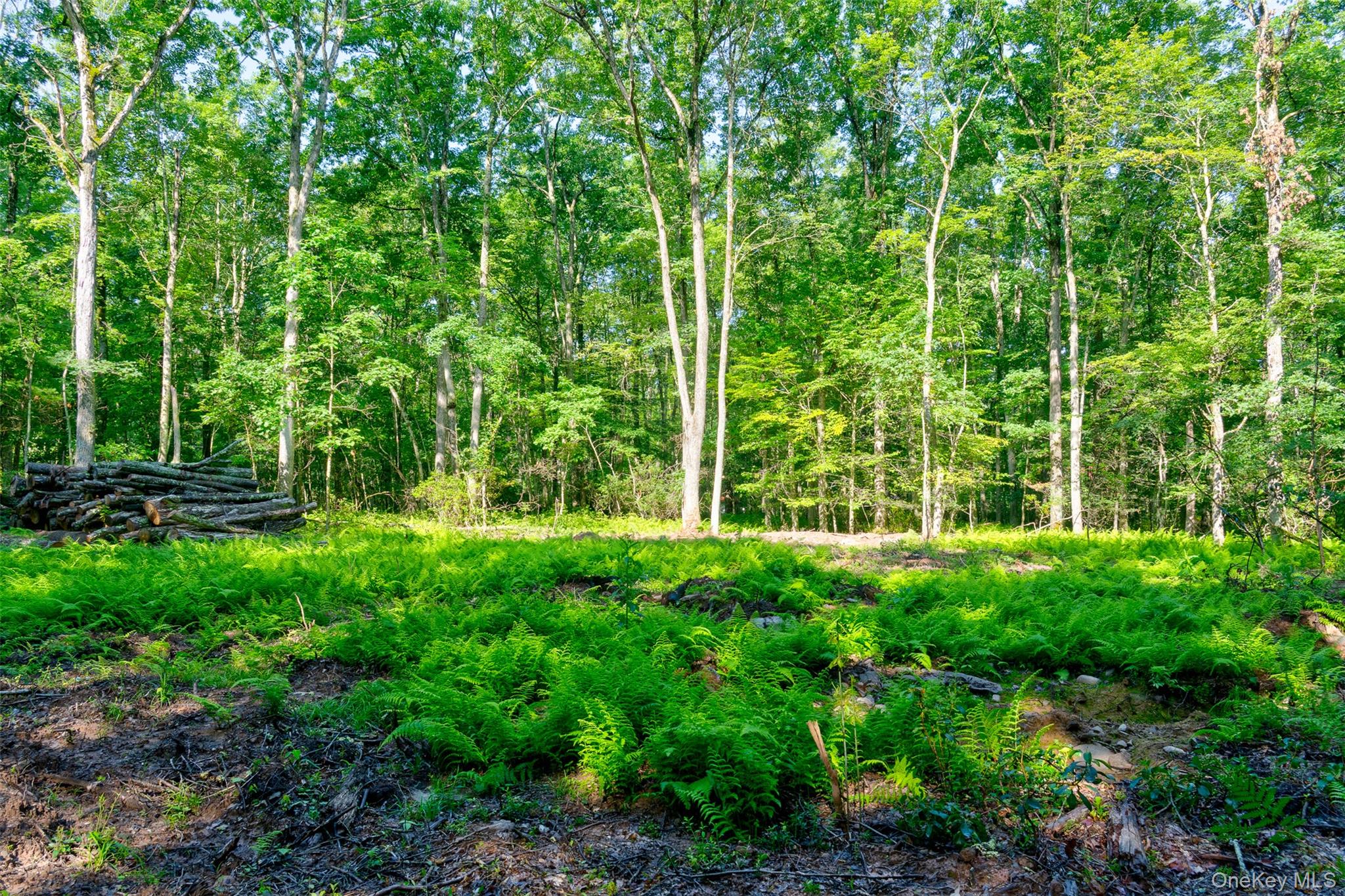 Lot 23 Perry Pond Road