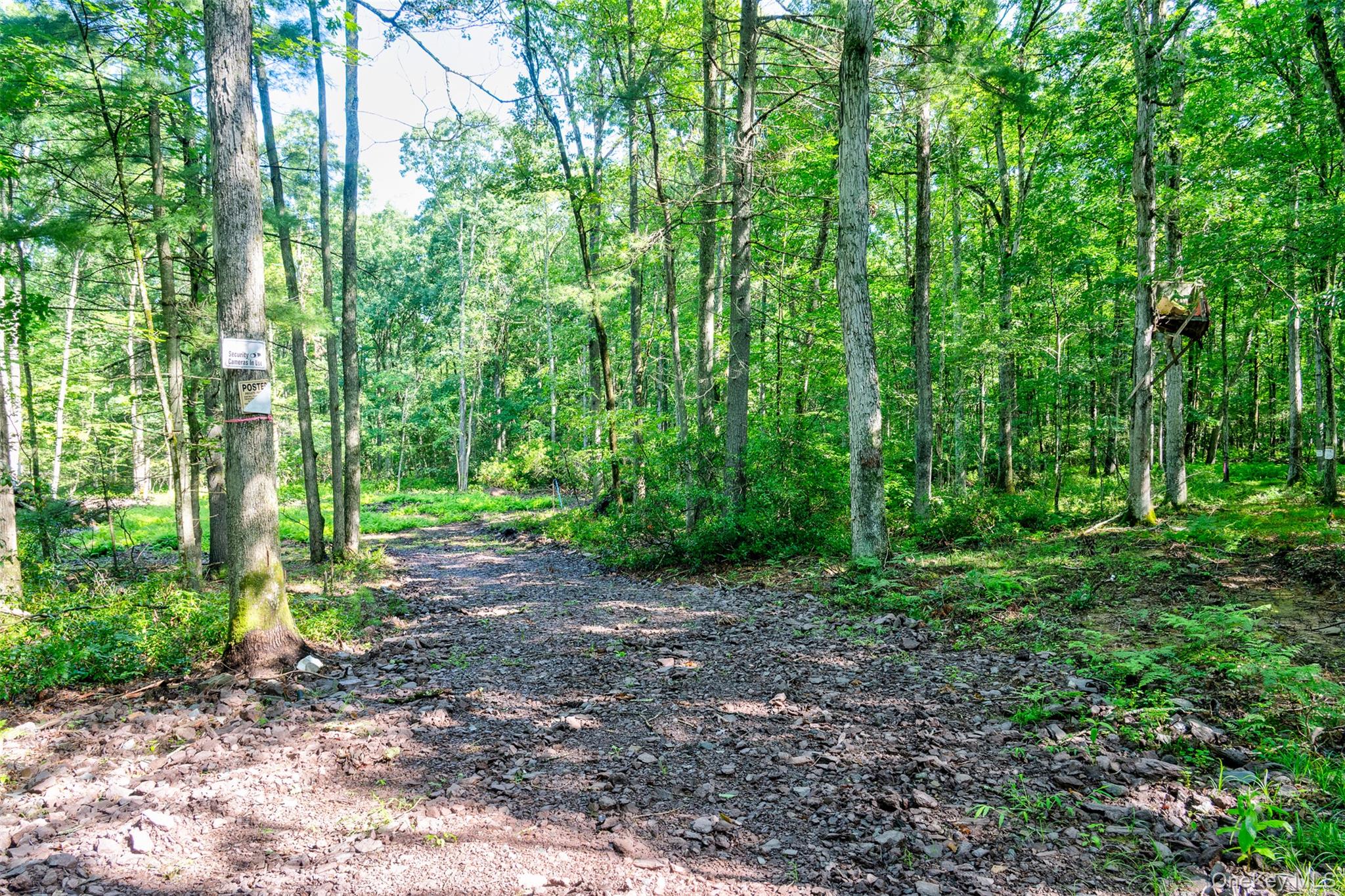 Lot 23 Perry Pond Road