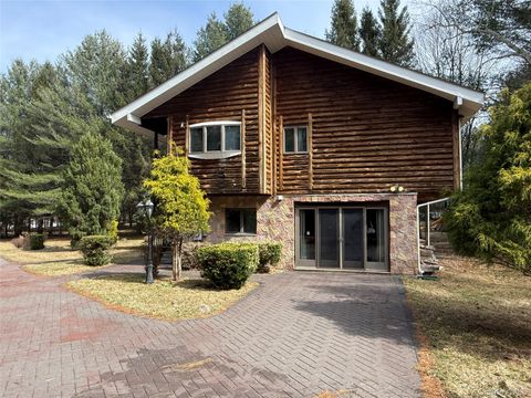 Photo of 1441 Ulster Heights Road, Ellenville, NY 12428 (MLS # 978284)