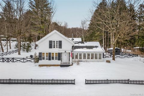 Homes For Sale - 46 Collins Street<br/> Hillsdale, NY 12529