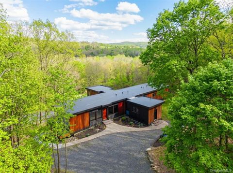 Photo for 490 Old State Route 82 Rd, Craryville, NY 12521 (MLS # 997677)