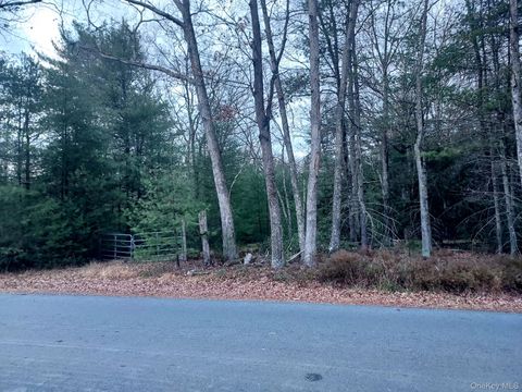 White Lumberland NY 12770