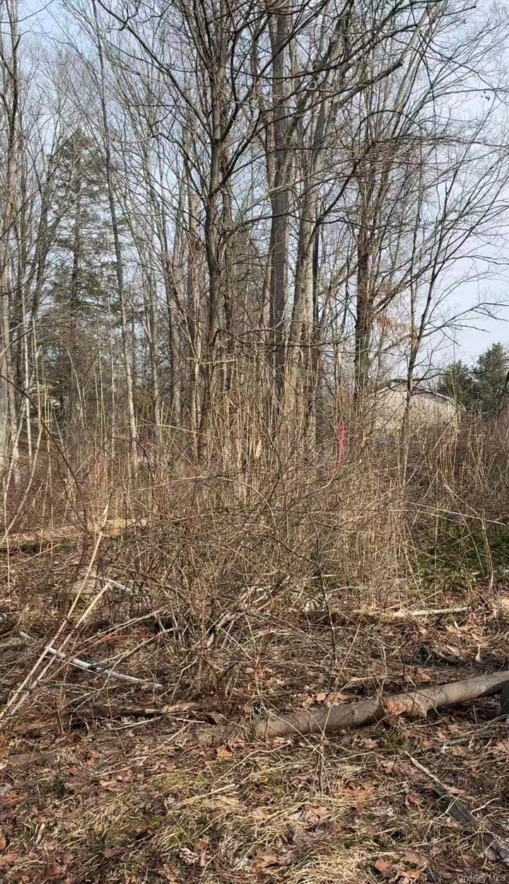 Photo 1 of 3 — 19 & 25 Clearbrook Drive, Mahopac, NY 10541