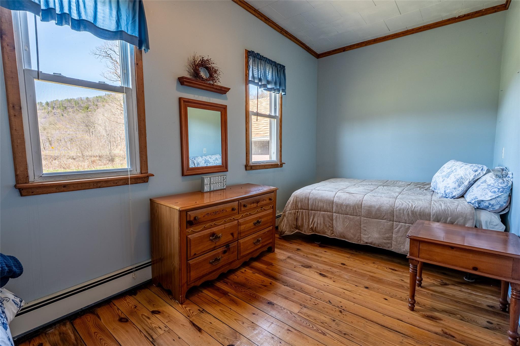 8 Conine Road, Prattsville, New York image 9
