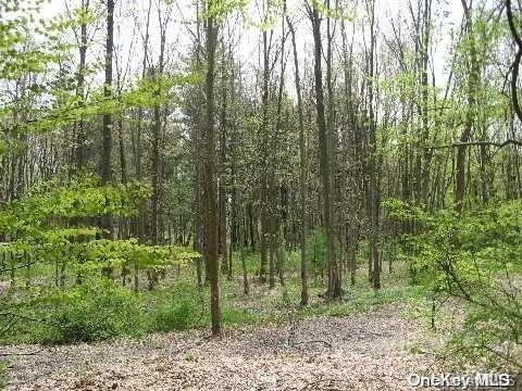 Lot #32-31 Lattingtown Road, Lattingtown, New York image 3