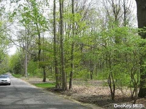 Lot #32-31 Lattingtown Road, Lattingtown, New York image 2