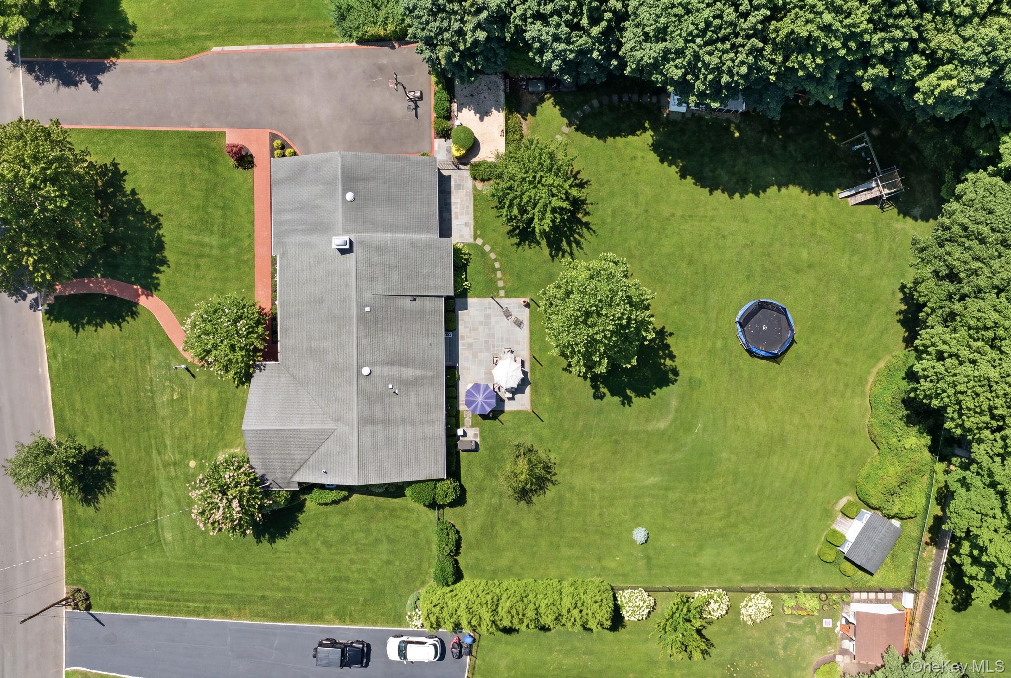 23 Renwick Avenue