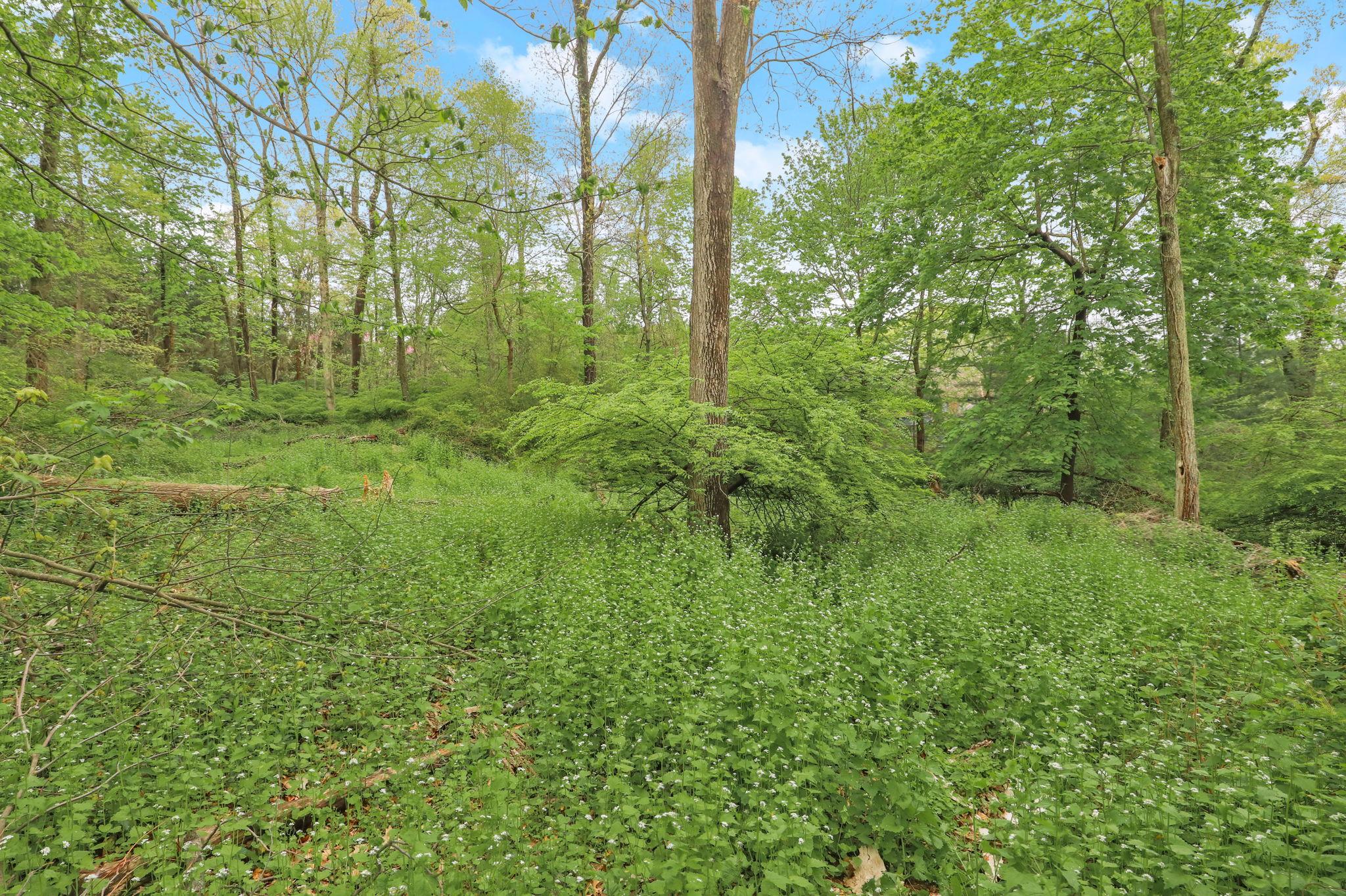 32-3 Orchard Drive, Armonk, New York image 3