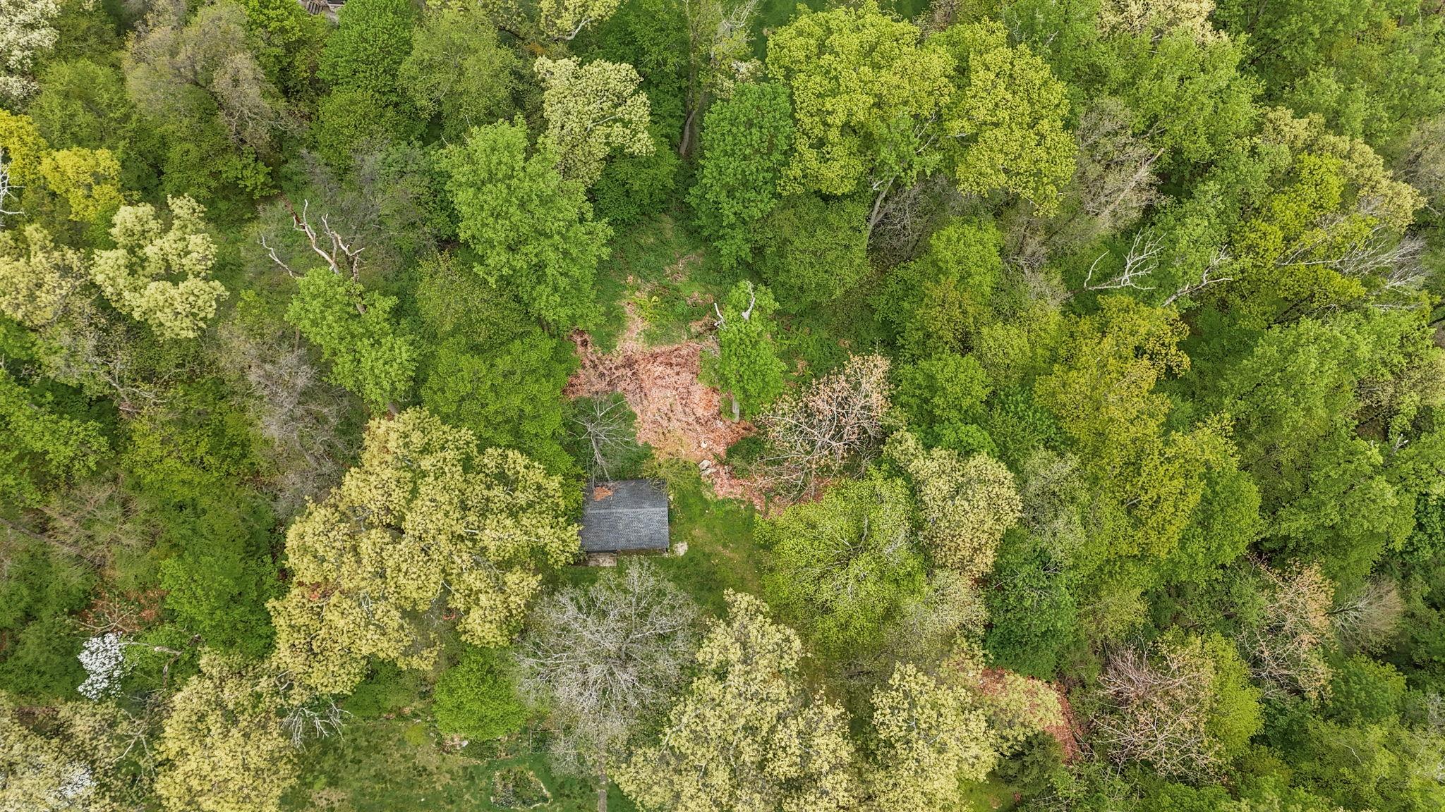 32-3 Orchard Drive, Armonk, New York image 4