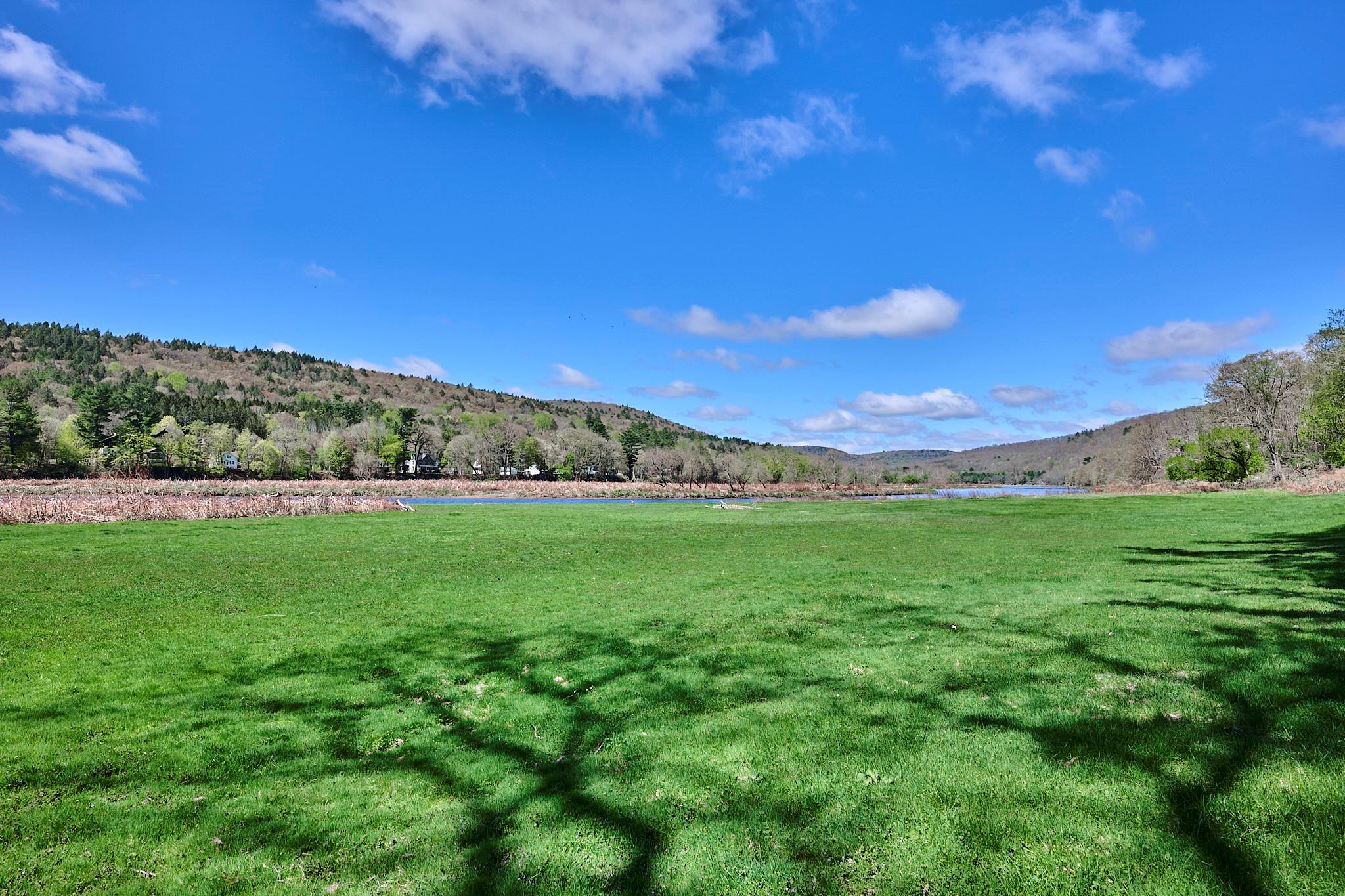 23 River Road, Callicoon, New York image 25
