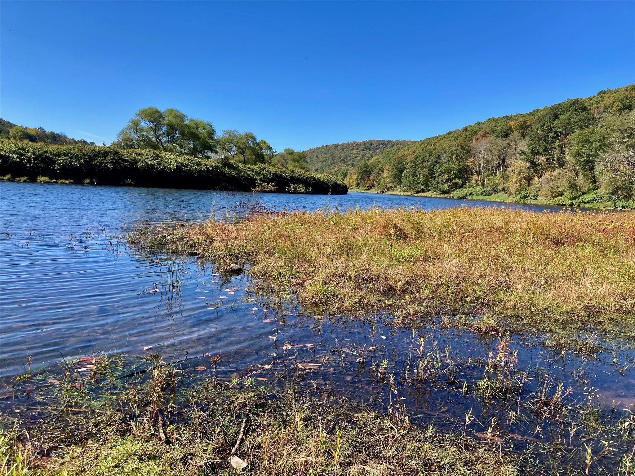 23 River Road, Callicoon, New York image 40