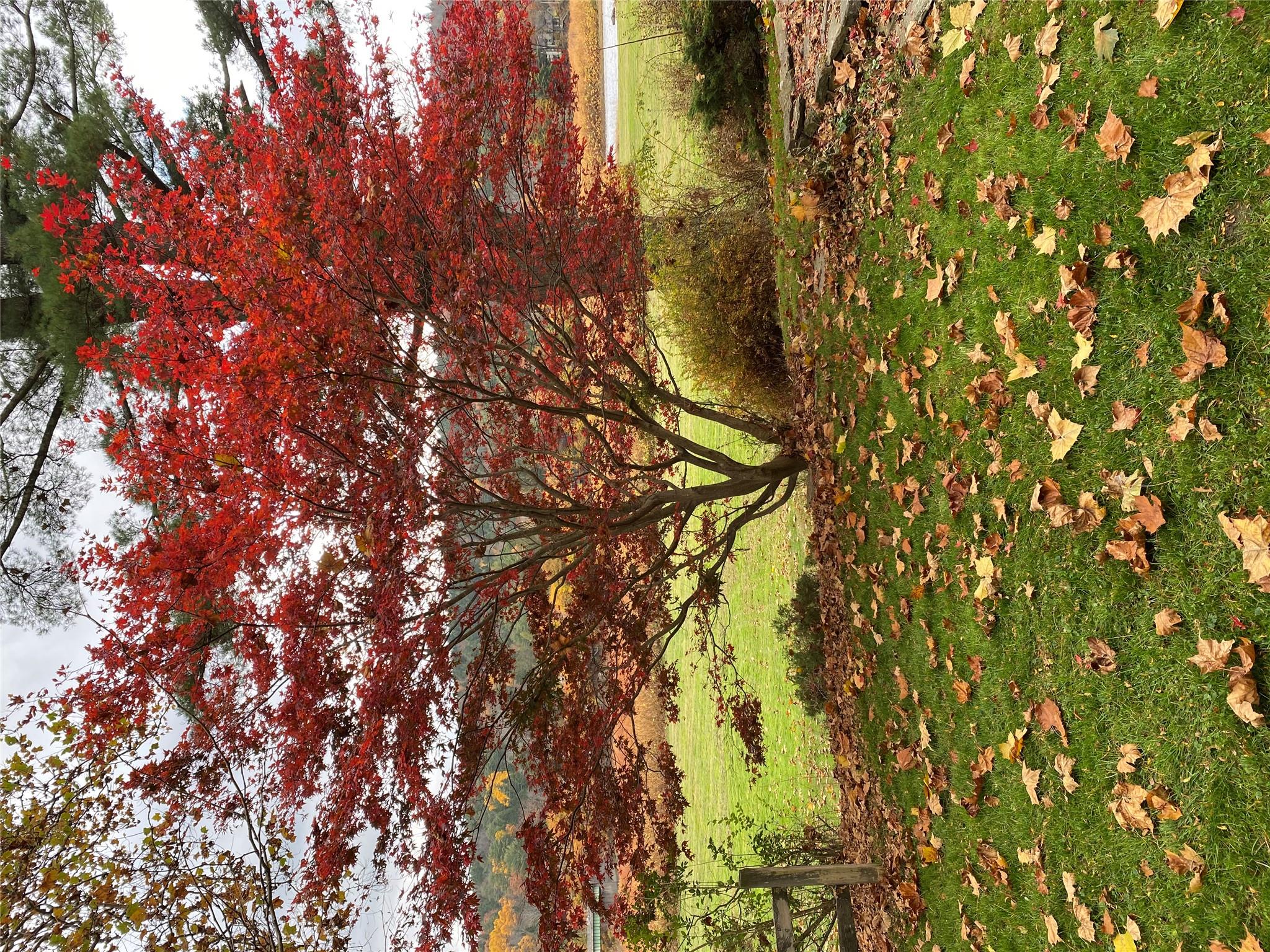 23 River Road, Callicoon, New York image 24