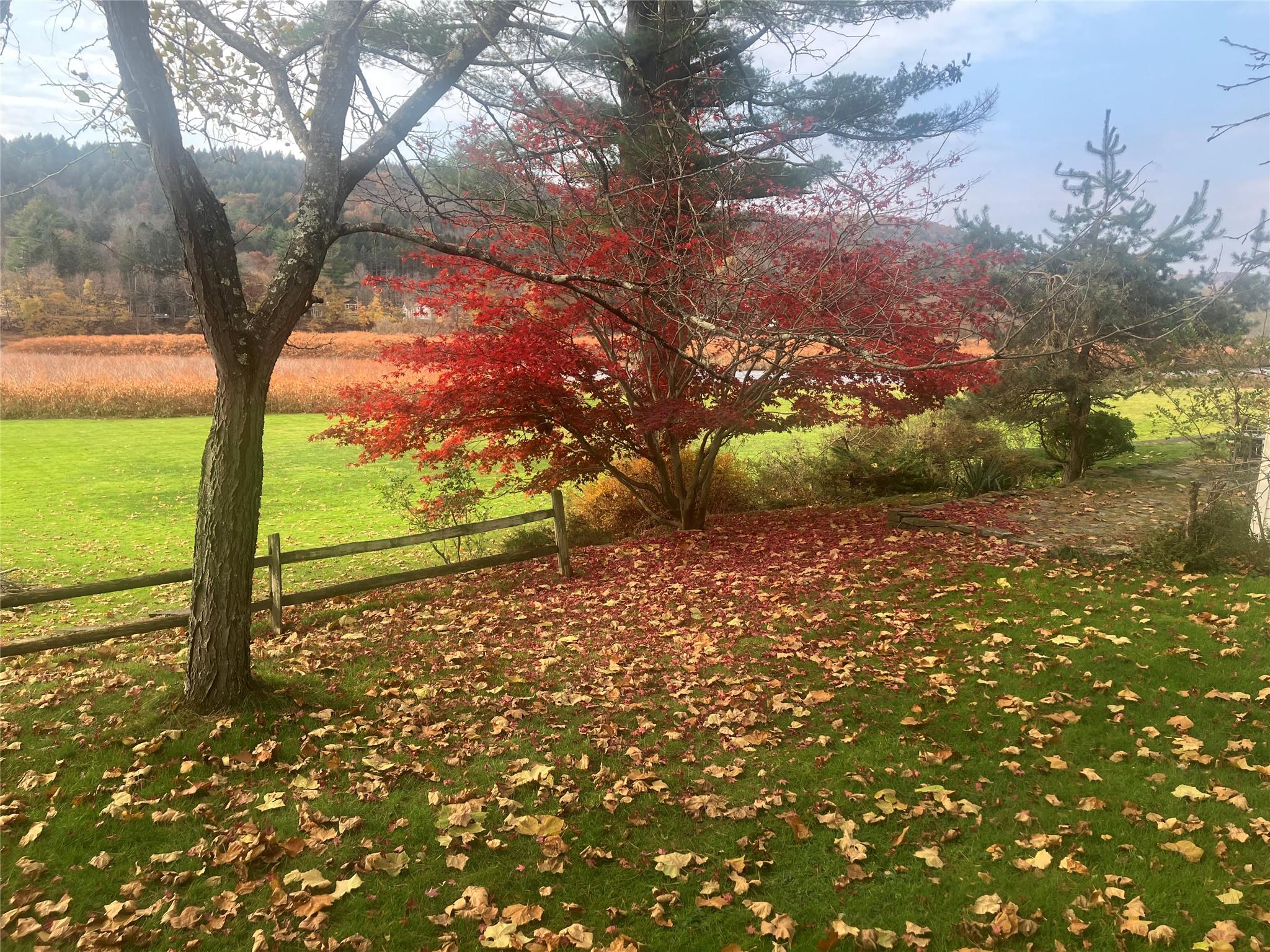 23 River Road, Callicoon, New York image 21