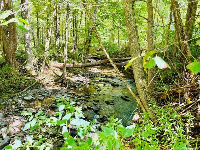 Photo of 13 Kinney Road, Long Eddy, NY 12760 (MLS # 1052103)