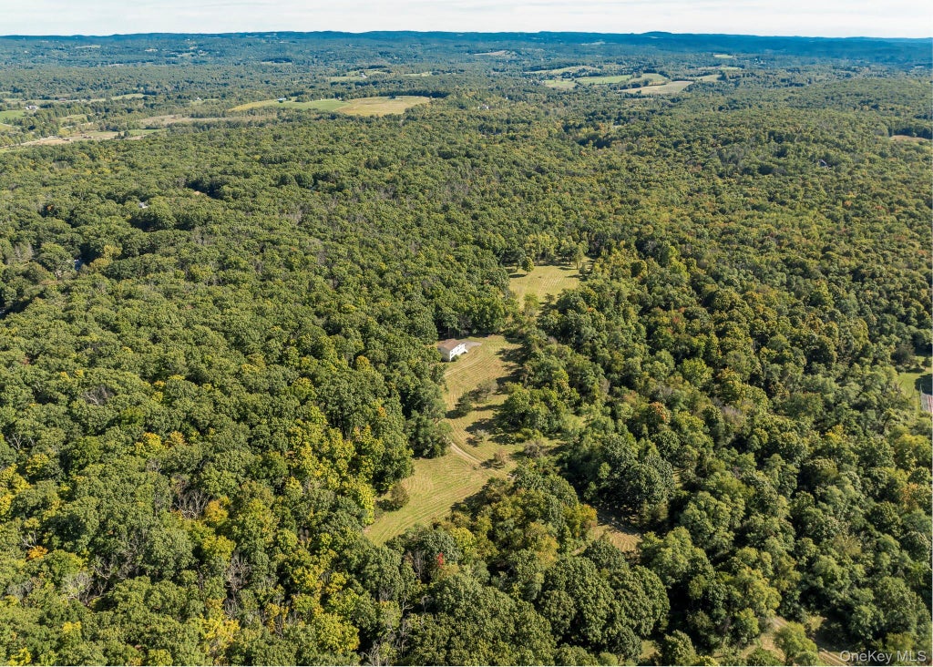 Photo of 544 Willow Brook Road, Clinton Corners, NY 12514 (MLS # 1054718)