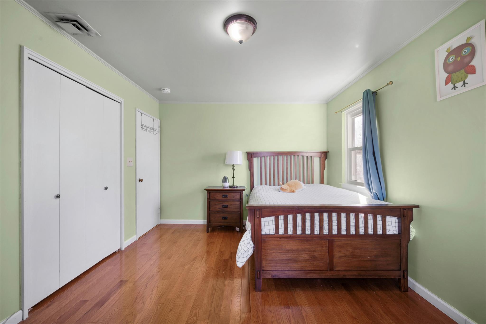 62 Birchwood Park Drive, Jericho, New York image 19
