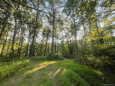 Vacant Land For Sale - Loch Ada Road<br/> Barryville, NY 12737