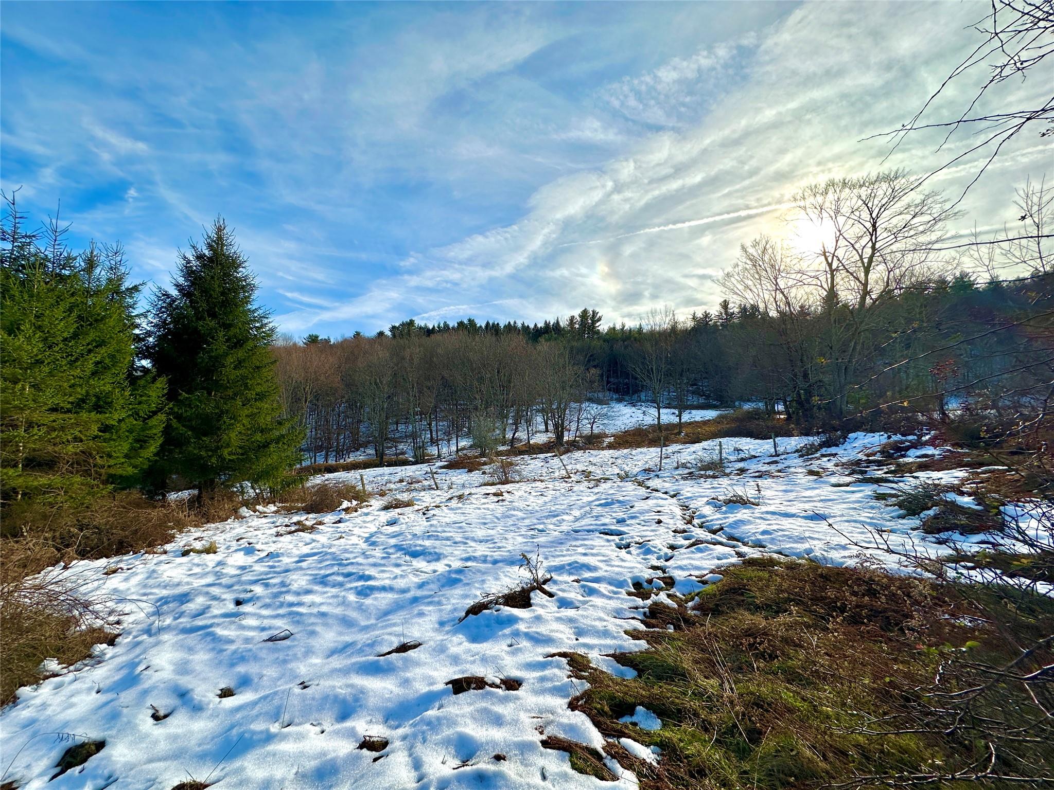 507 County Route 131, Callicoon, New York image 11