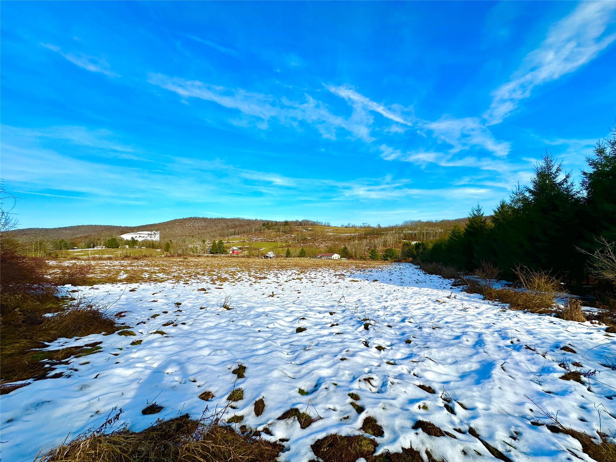 507 County Route 131, Callicoon, New York image 10