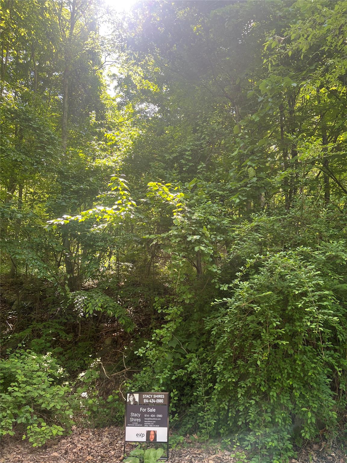 Old Church Road, Putnam Valley, New York image 28