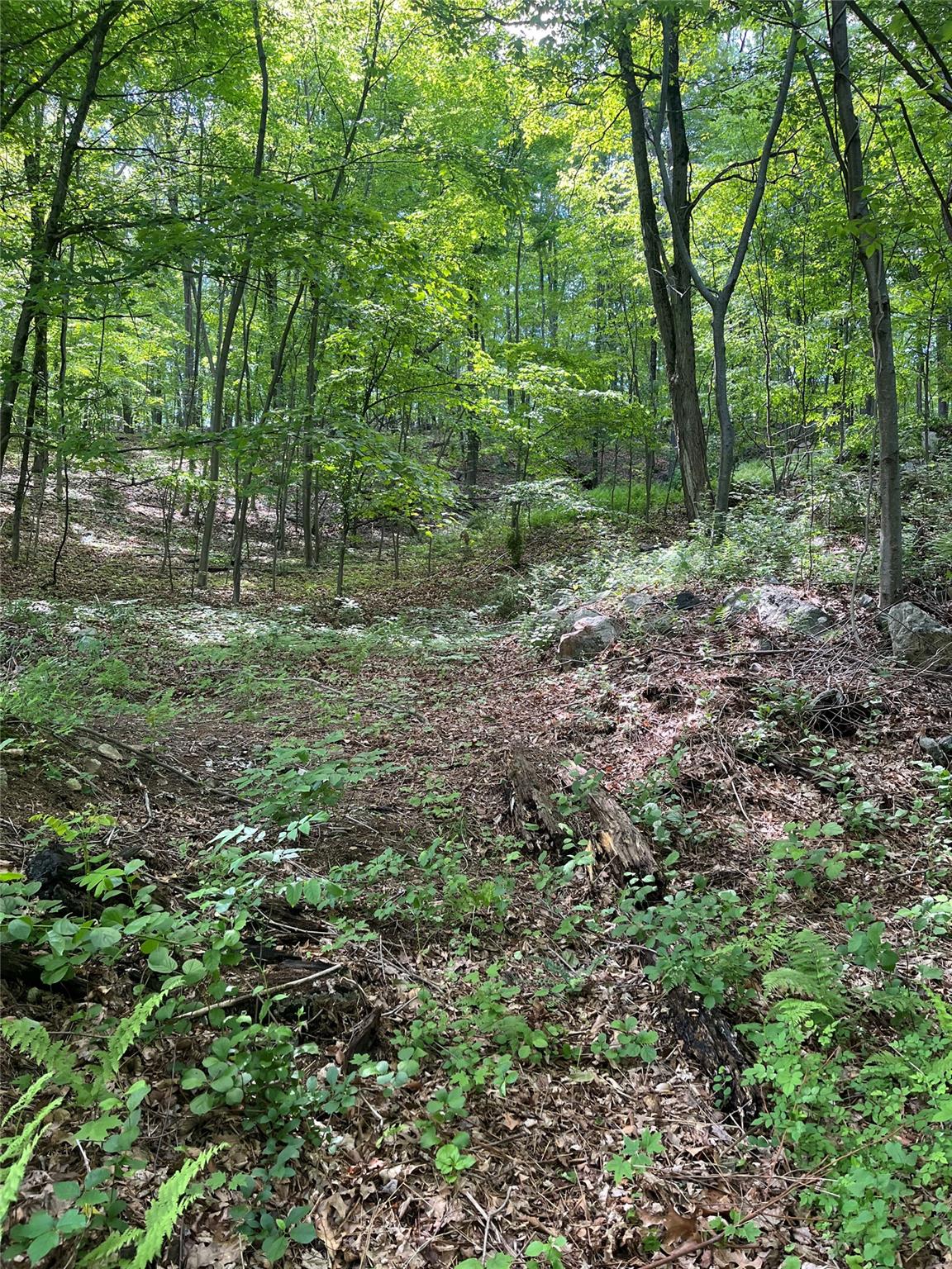 Old Church Road, Putnam Valley, New York image 14