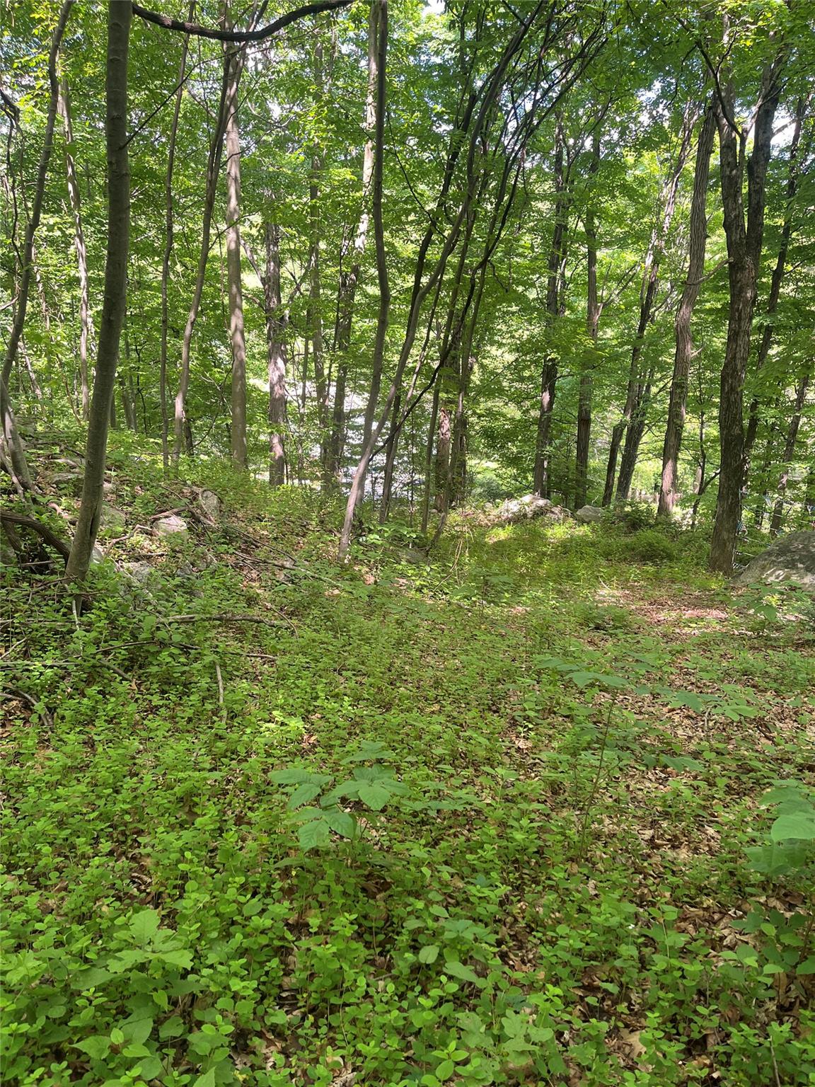 Old Church Road, Putnam Valley, New York image 4