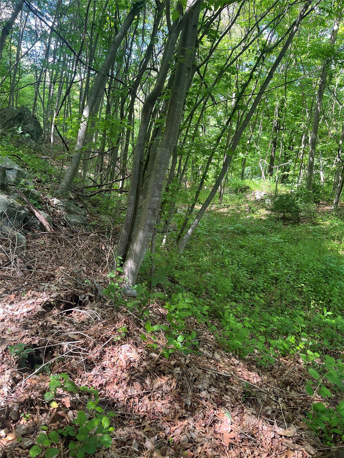 Old Church Road, Putnam Valley, New York image 9