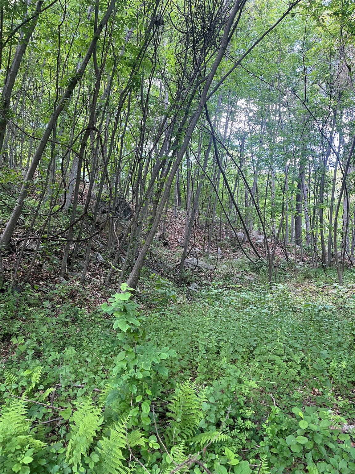 Old Church Road, Putnam Valley, New York image 16