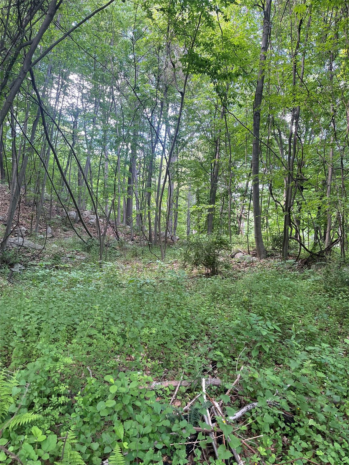 Old Church Road, Putnam Valley, New York image 17