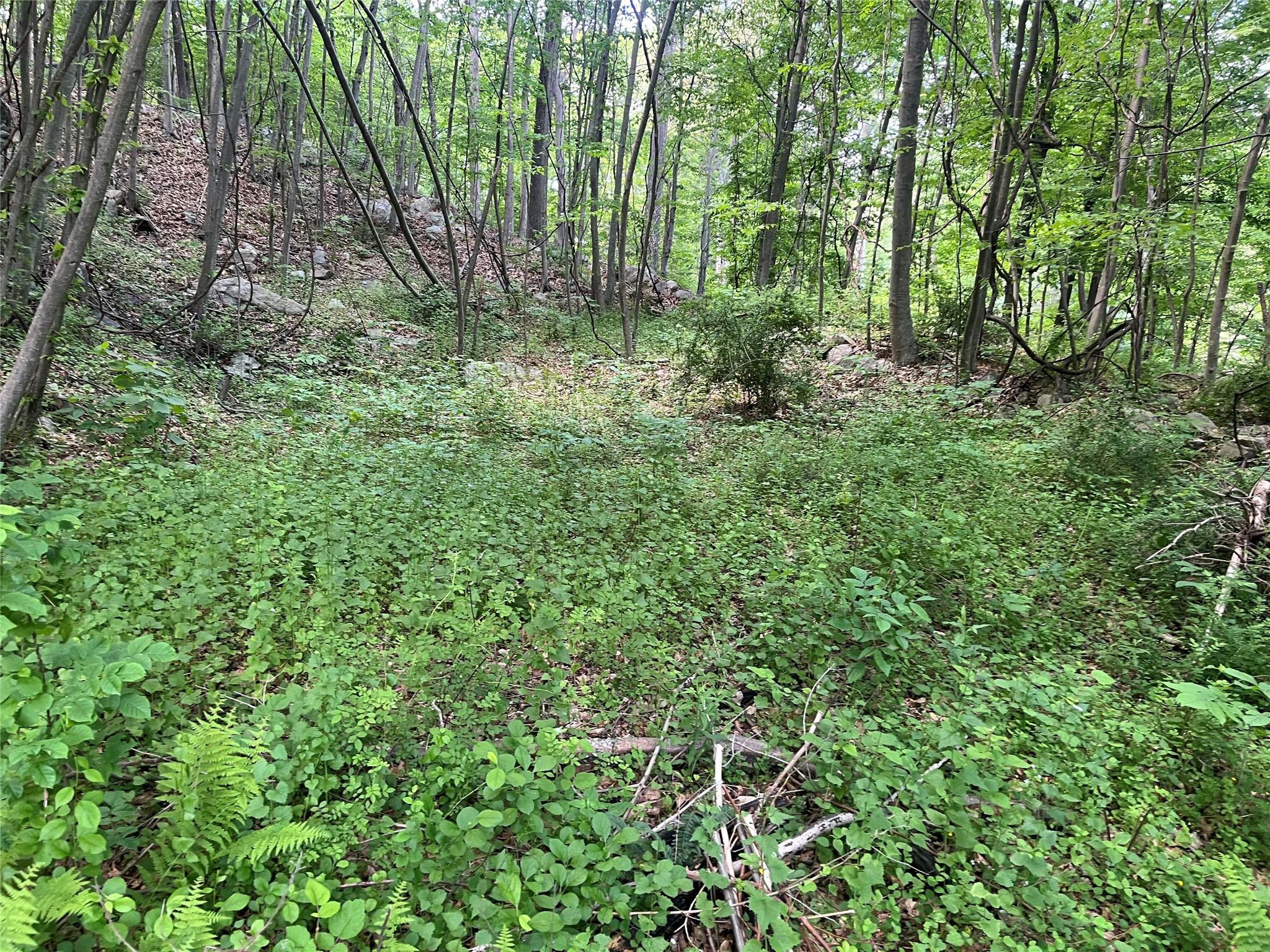 Old Church Road, Putnam Valley, New York image 20