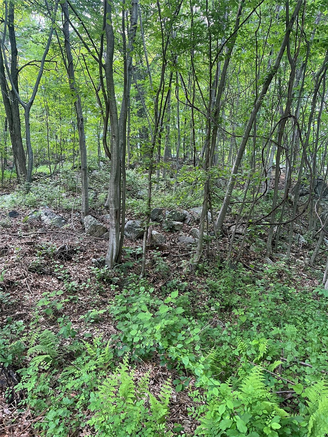 Old Church Road, Putnam Valley, New York image 15