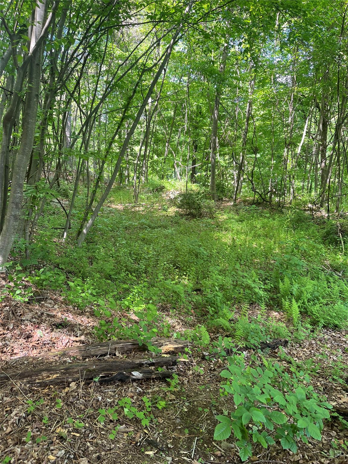 Old Church Road, Putnam Valley, New York image 10