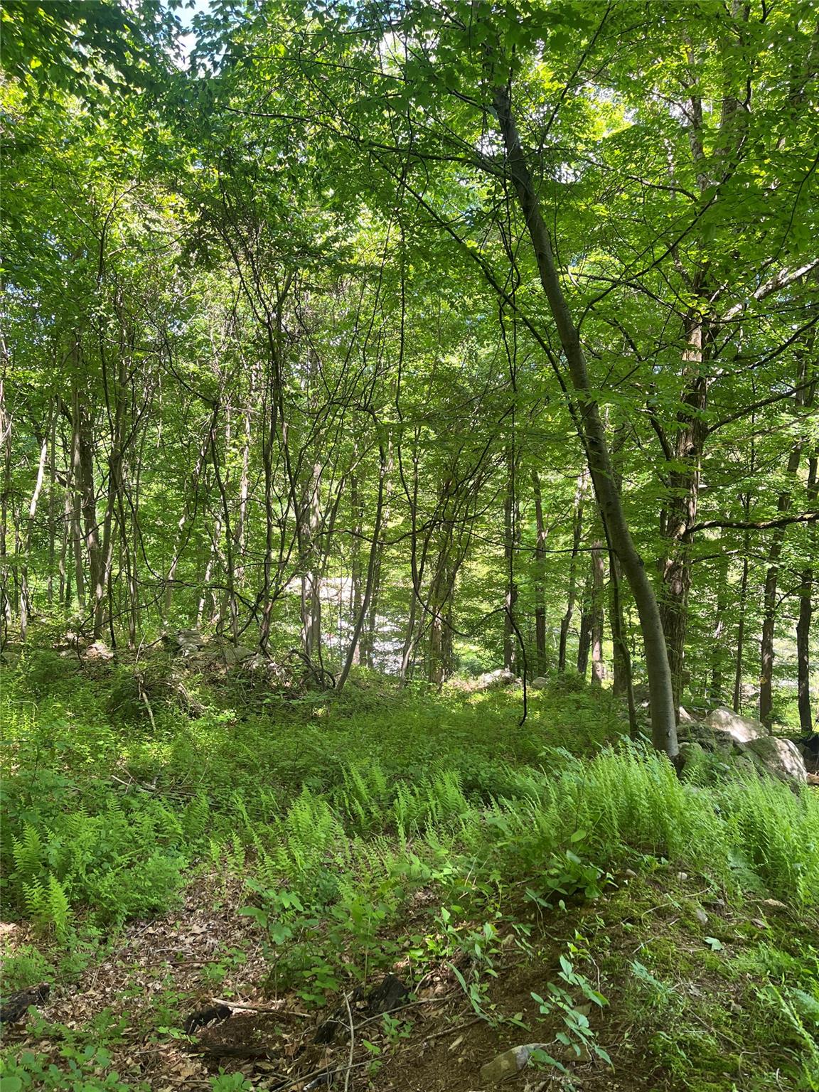 Old Church Road, Putnam Valley, New York image 12