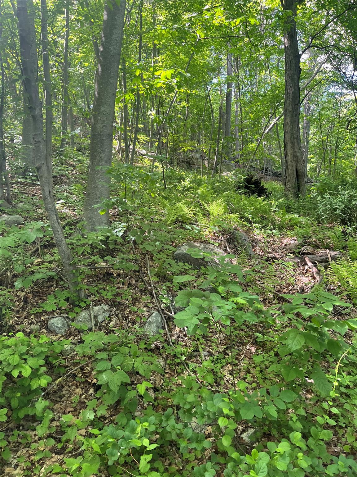 Old Church Road, Putnam Valley, New York image 25