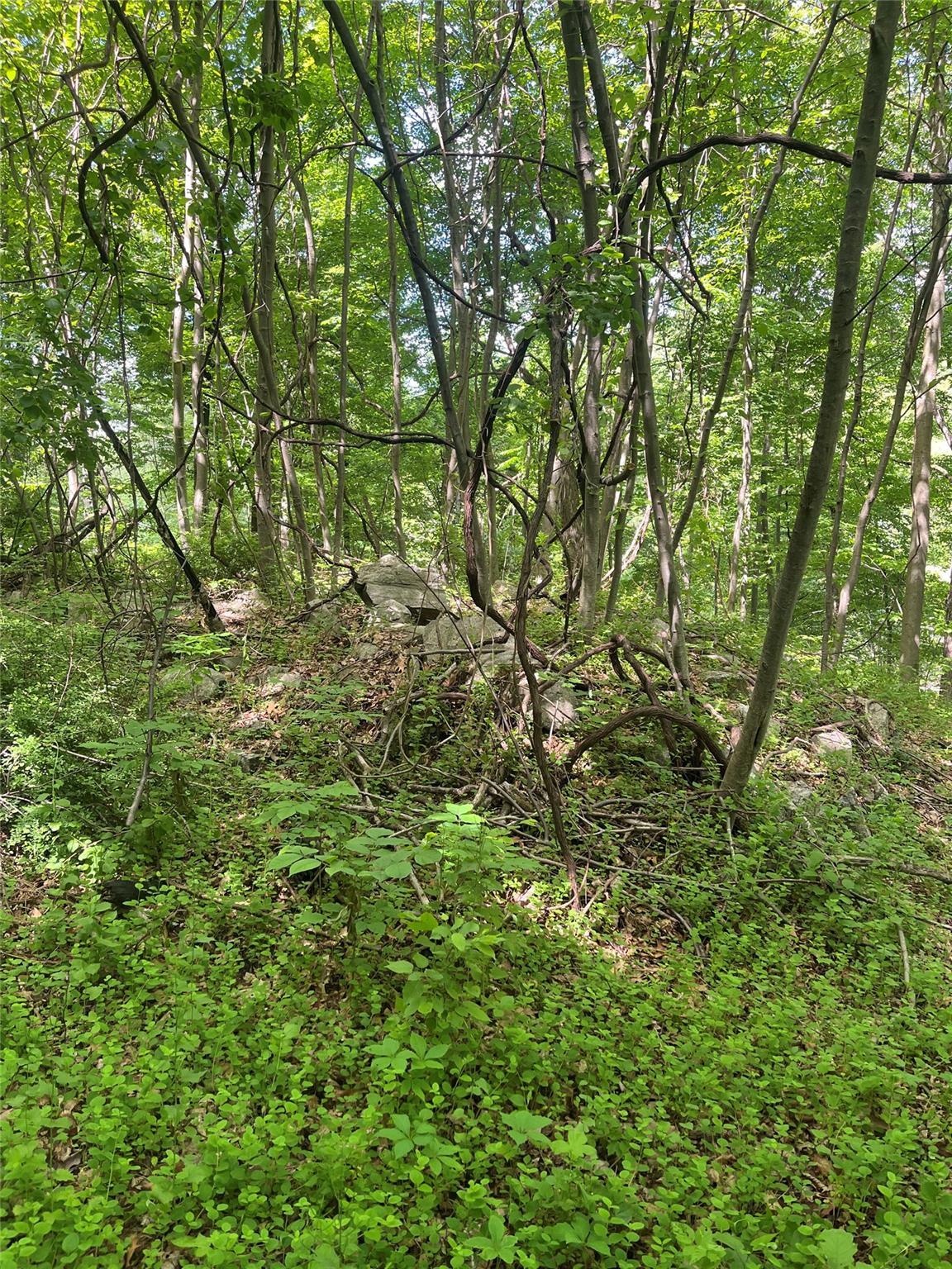 Old Church Road, Putnam Valley, New York image 6