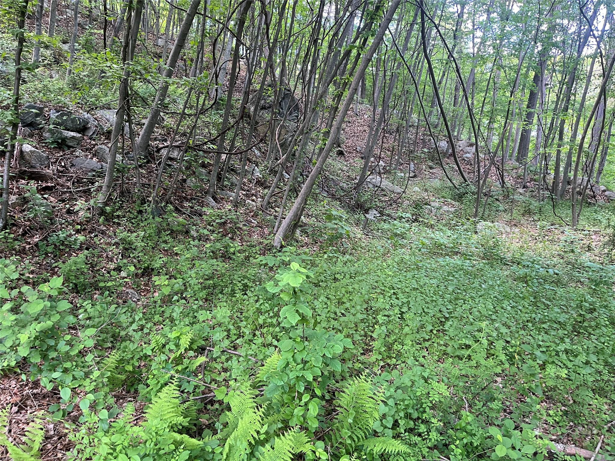 Old Church Road, Putnam Valley, New York image 23