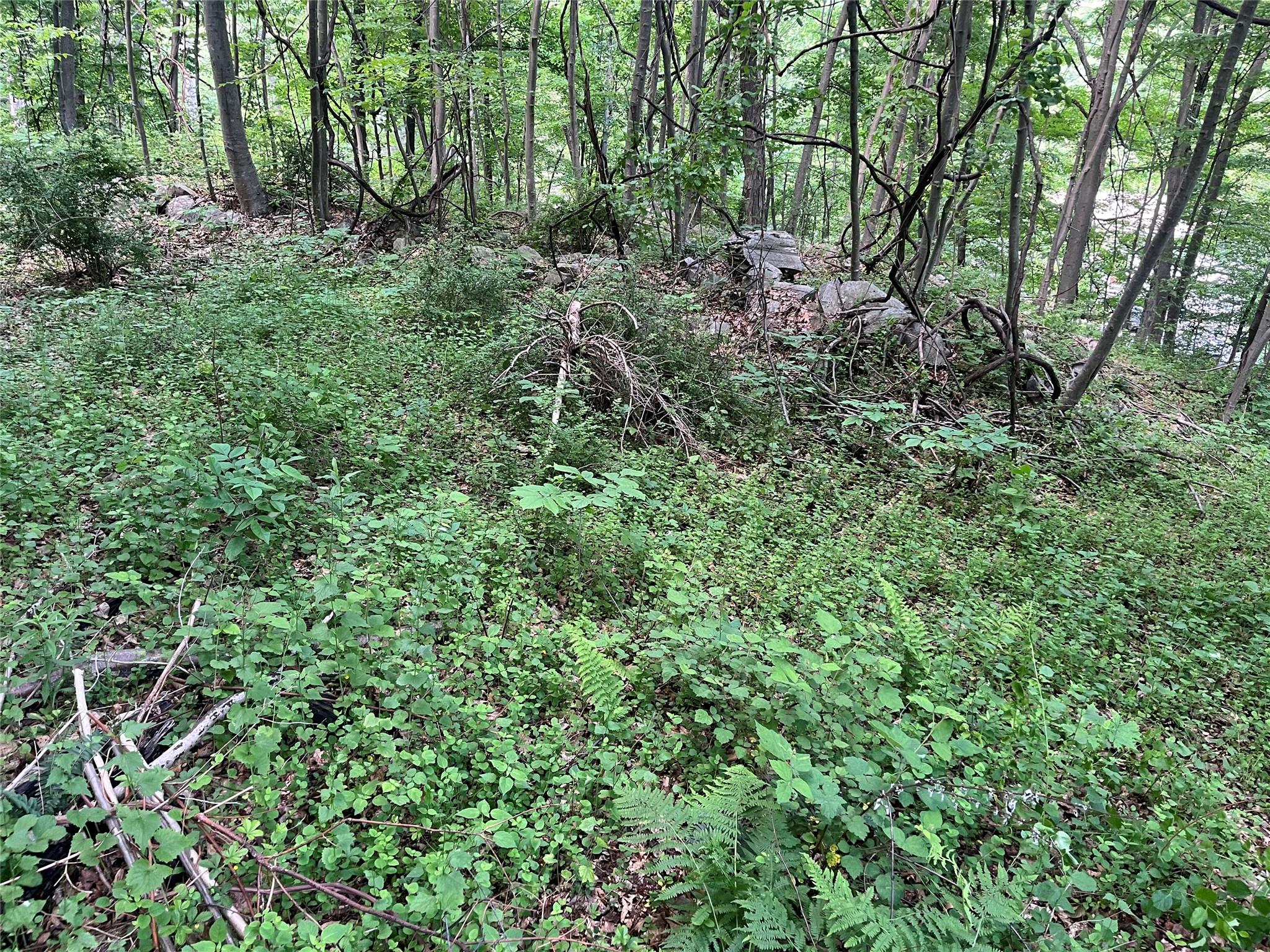 Old Church Road, Putnam Valley, New York image 22