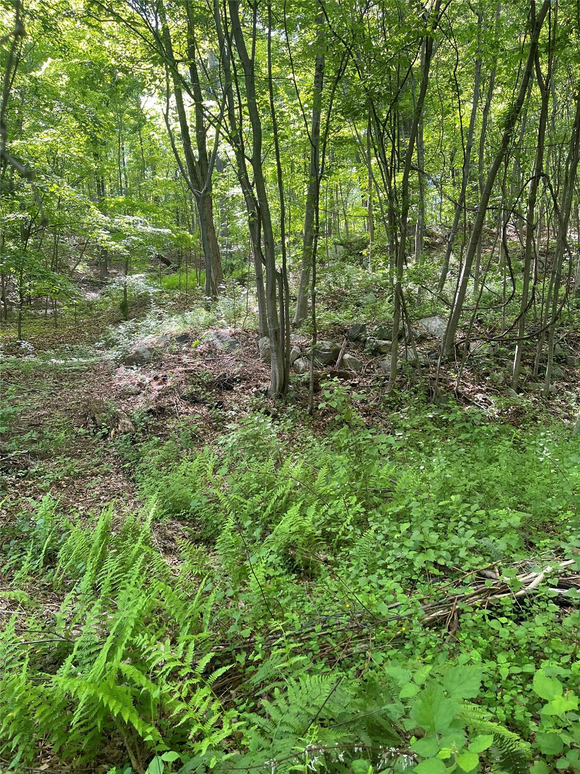 Old Church Road, Putnam Valley, New York image 8