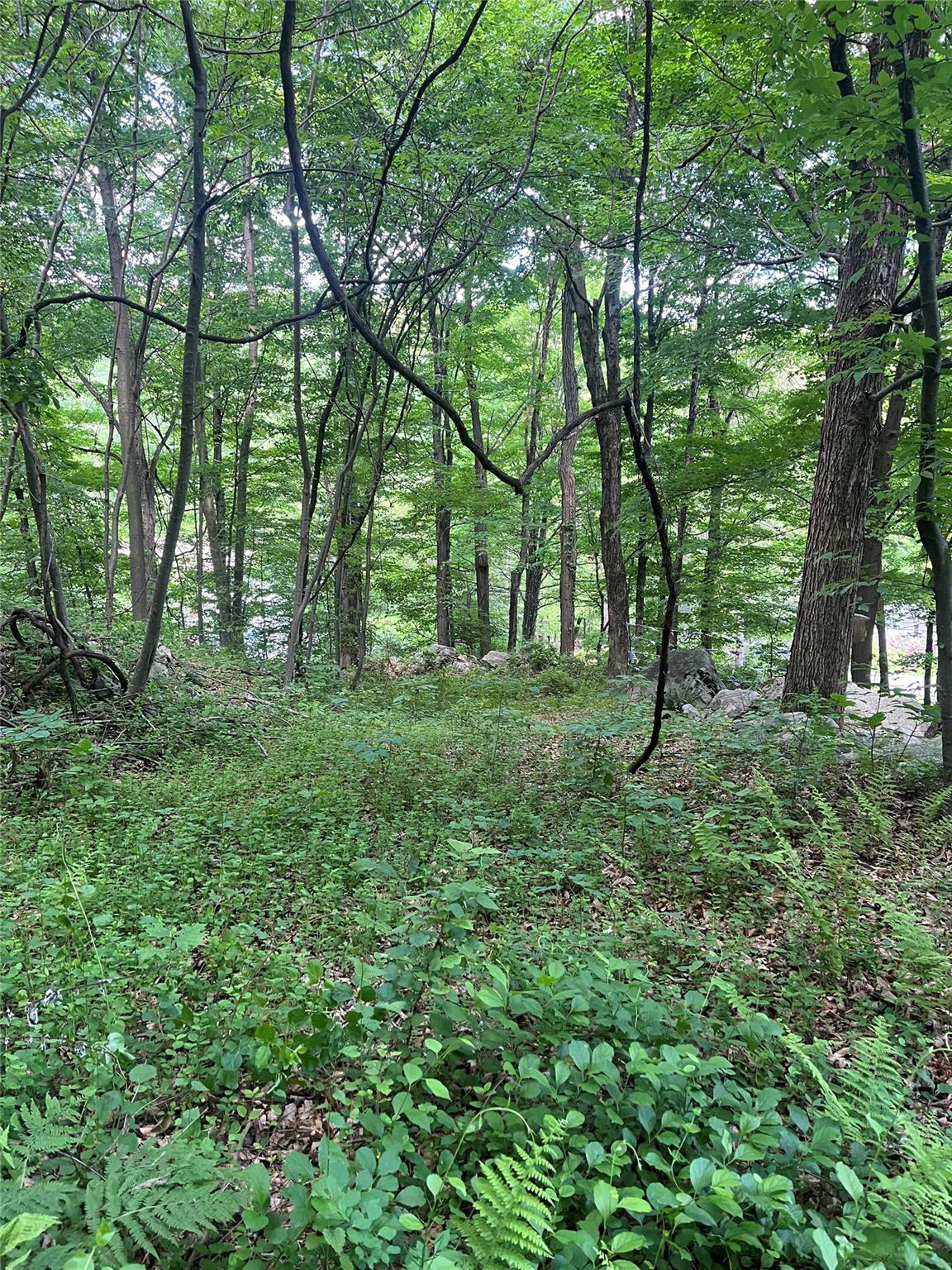 Old Church Road, Putnam Valley, New York image 19