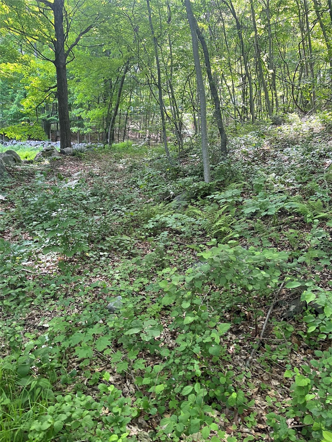 Old Church Road, Putnam Valley, New York image 24