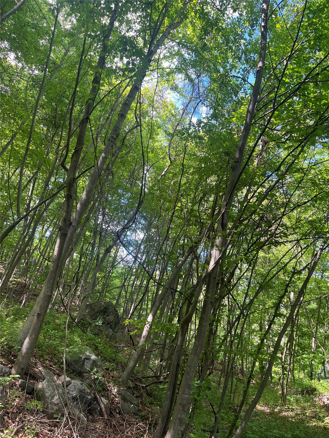 Old Church Road, Putnam Valley, New York image 11