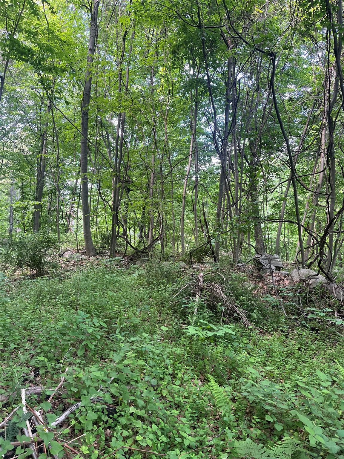 Old Church Road, Putnam Valley, New York image 18